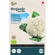 Cauliflower Goodman F1 ORGANIC Seeds